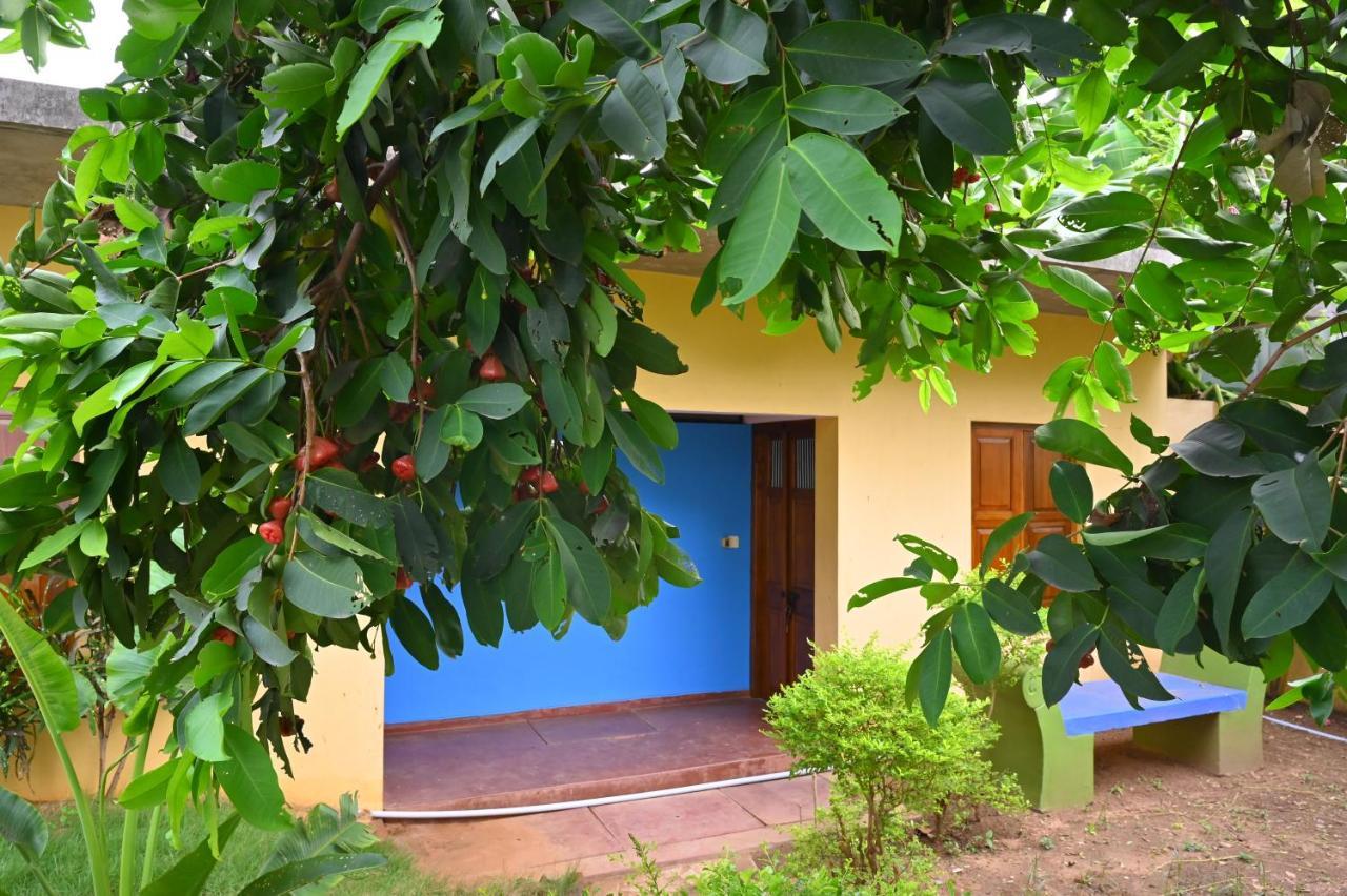 Les Boganveillea Heritage Guest House Auroville Dış mekan fotoğraf